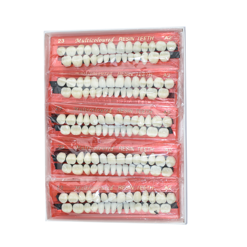 28 Teeth Dental Resin Denture  - đánh giá và giá Teeth Whitening Shade Guide