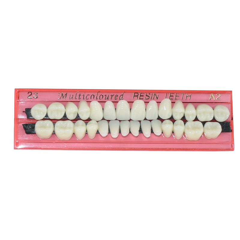 28 Teeth Dental Resin Denture  - đánh giá và giá Teeth Whitening Shade Guide