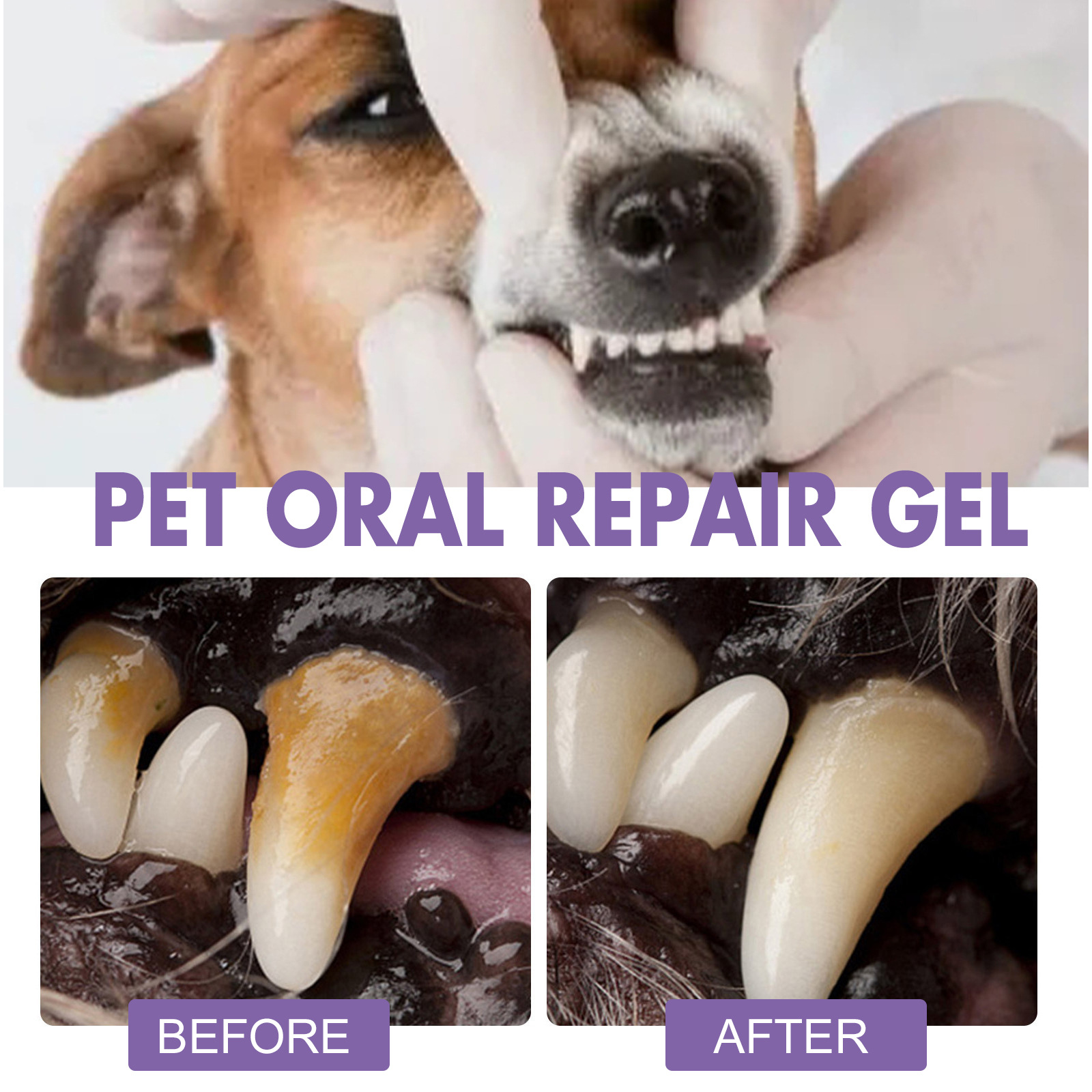 Pet Oral Repair Gel Puppy Tart - đánh giá và giá Teeth Whitening With Hydrogen Peroxide